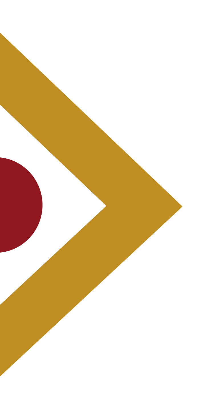 Seta 1
